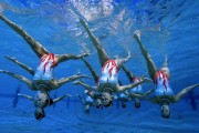 开云官网登录-篮球旅游节在沿海城市举行，带动区域经济发展，篮球度假